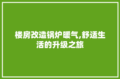 楼房改造锅炉暖气,舒适生活的升级之旅
