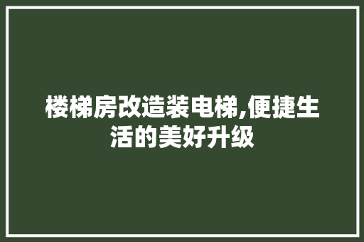 楼梯房改造装电梯,便捷生活的美好升级