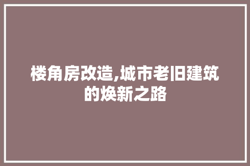 楼角房改造,城市老旧建筑的焕新之路