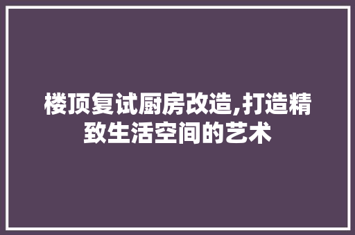 楼顶复试厨房改造,打造精致生活空间的艺术