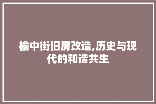 榆中街旧房改造,历史与现代的和谐共生