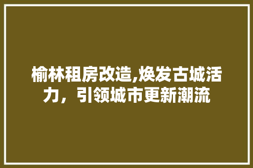 榆林租房改造,焕发古城活力，引领城市更新潮流