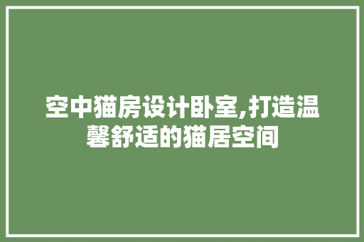 空中猫房设计卧室,打造温馨舒适的猫居空间