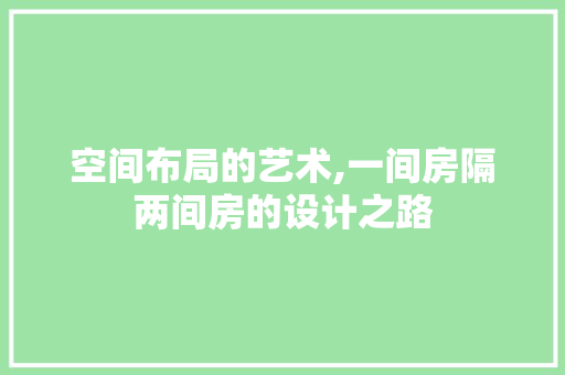 空间布局的艺术,一间房隔两间房的设计之路