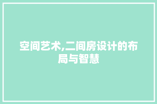空间艺术,二间房设计的布局与智慧