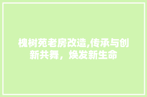 槐树苑老房改造,传承与创新共舞，焕发新生命