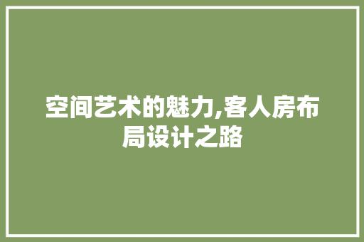 空间艺术的魅力,客人房布局设计之路