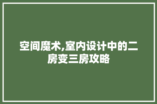 空间魔术,室内设计中的二房变三房攻略