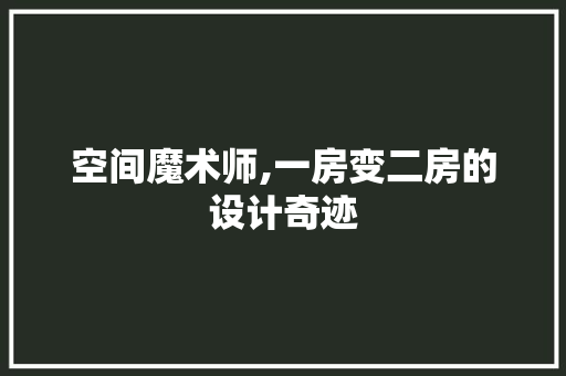 空间魔术师,一房变二房的设计奇迹
