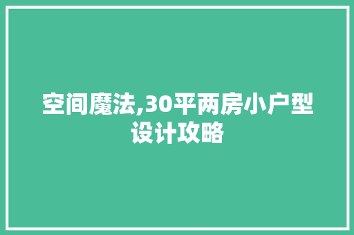 空间魔法,30平两房小户型设计攻略