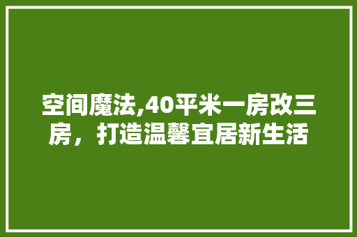 空间魔法,40平米一房改三房，打造温馨宜居新生活
