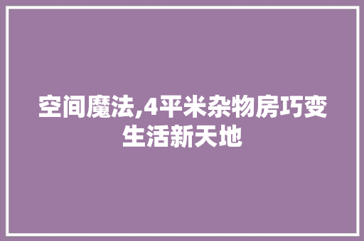 空间魔法,4平米杂物房巧变生活新天地