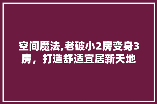 空间魔法,老破小2房变身3房，打造舒适宜居新天地