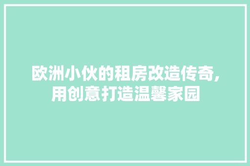 欧洲小伙的租房改造传奇,用创意打造温馨家园