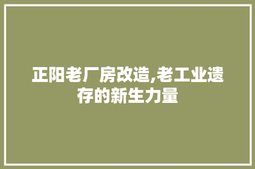 正阳老厂房改造,老工业遗存的新生力量