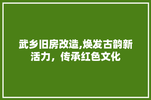 武乡旧房改造,焕发古韵新活力，传承红色文化