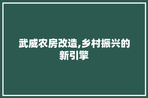 武威农房改造,乡村振兴的新引擎