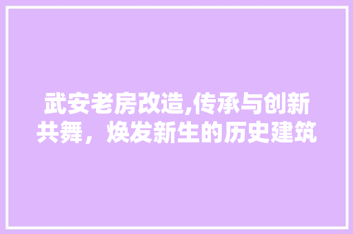 武安老房改造,传承与创新共舞，焕发新生的历史建筑