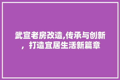 武宣老房改造,传承与创新，打造宜居生活新篇章
