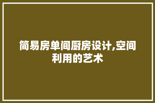 简易房单间厨房设计,空间利用的艺术