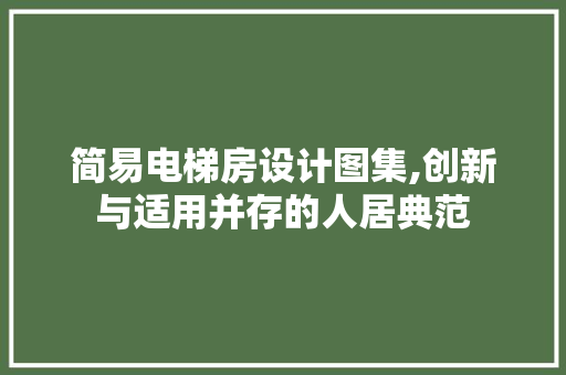 简易电梯房设计图集,创新与适用并存的人居典范