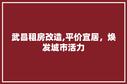武昌租房改造,平价宜居，焕发城市活力