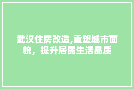 武汉住房改造,重塑城市面貌，提升居民生活品质