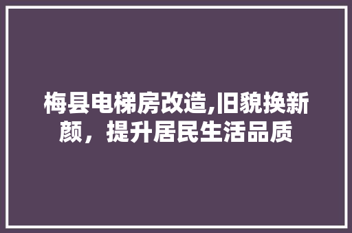 梅县电梯房改造,旧貌换新颜，提升居民生活品质