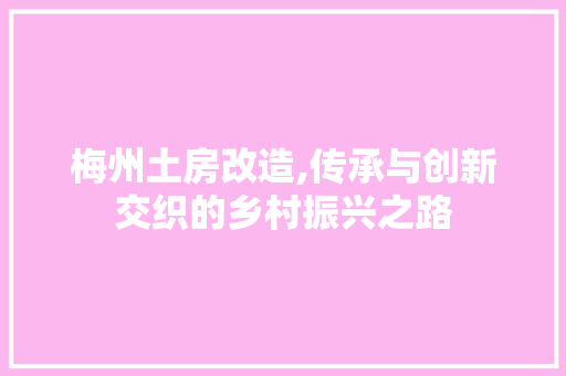 梅州土房改造,传承与创新交织的乡村振兴之路