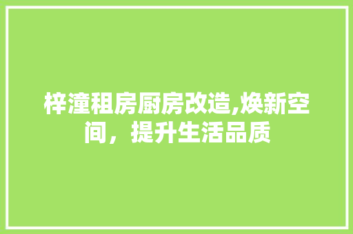 梓潼租房厨房改造,焕新空间，提升生活品质