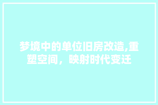 梦境中的单位旧房改造,重塑空间，映射时代变迁