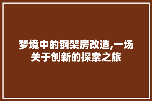 梦境中的钢架房改造,一场关于创新的探索之旅