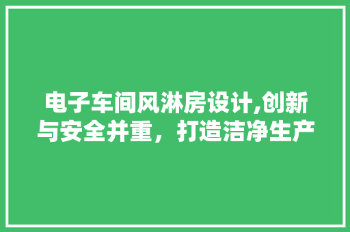 电子车间风淋房设计,创新与安全并重，打造洁净生产环境