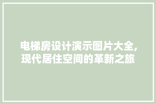 电梯房设计演示图片大全,现代居住空间的革新之旅