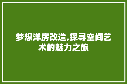 梦想洋房改造,探寻空间艺术的魅力之旅