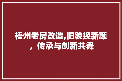 梧州老房改造,旧貌换新颜，传承与创新共舞