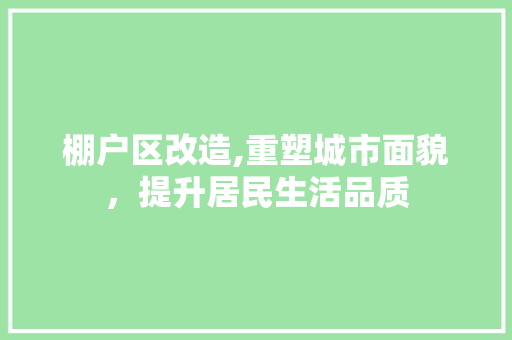 棚户区改造,重塑城市面貌，提升居民生活品质