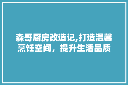 森哥厨房改造记,打造温馨烹饪空间，提升生活品质