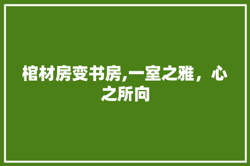 棺材房变书房,一室之雅，心之所向