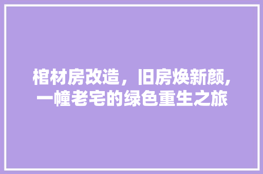 棺材房改造，旧房焕新颜,一幢老宅的绿色重生之旅
