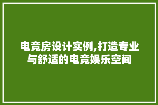 电竞房设计实例,打造专业与舒适的电竞娱乐空间