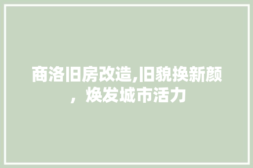 商洛旧房改造,旧貌换新颜，焕发城市活力