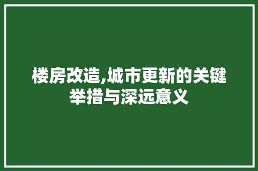 楼房改造,城市更新的关键举措与深远意义