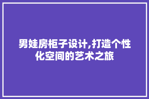 男娃房柜子设计,打造个性化空间的艺术之旅
