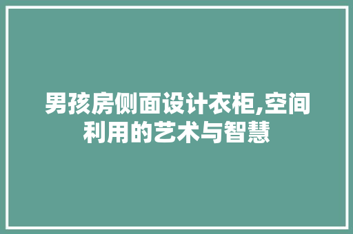 男孩房侧面设计衣柜,空间利用的艺术与智慧