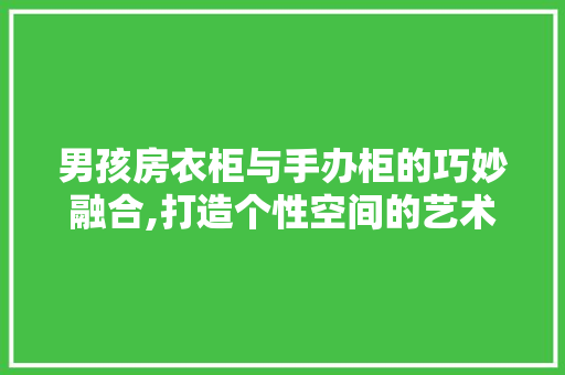 男孩房衣柜与手办柜的巧妙融合,打造个性空间的艺术