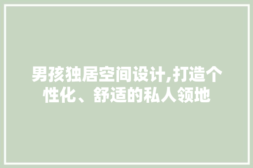 男孩独居空间设计,打造个性化、舒适的私人领地
