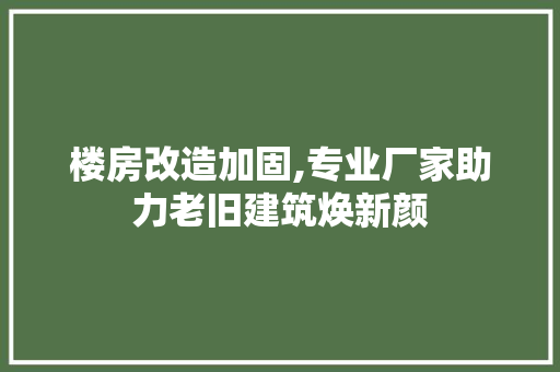 楼房改造加固,专业厂家助力老旧建筑焕新颜