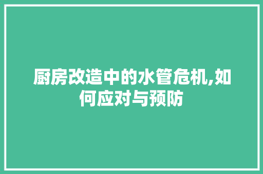 厨房改造中的水管危机,如何应对与预防
