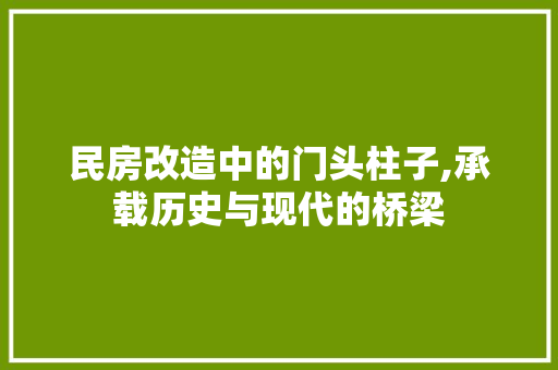 民房改造中的门头柱子,承载历史与现代的桥梁